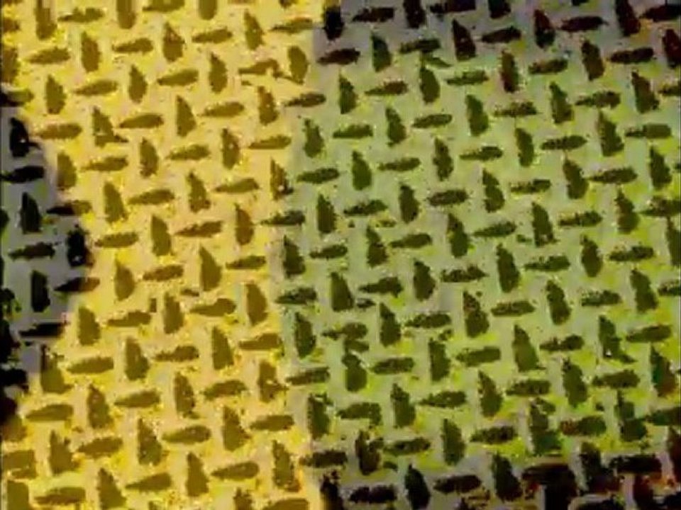 so strong jungle par tyco