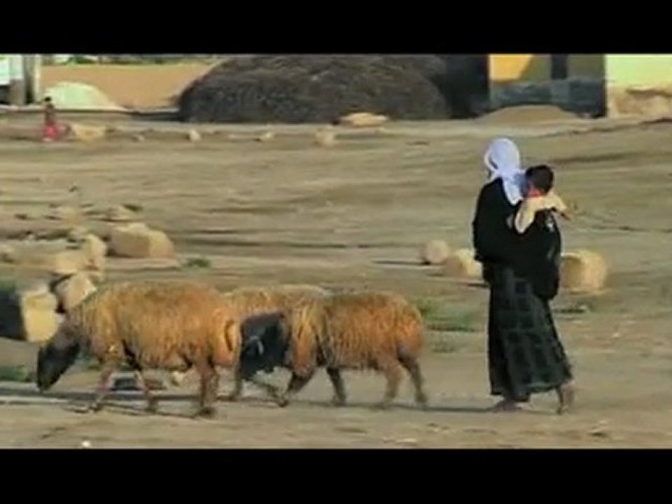 Anadolu'nun Kayıp Sarkıları