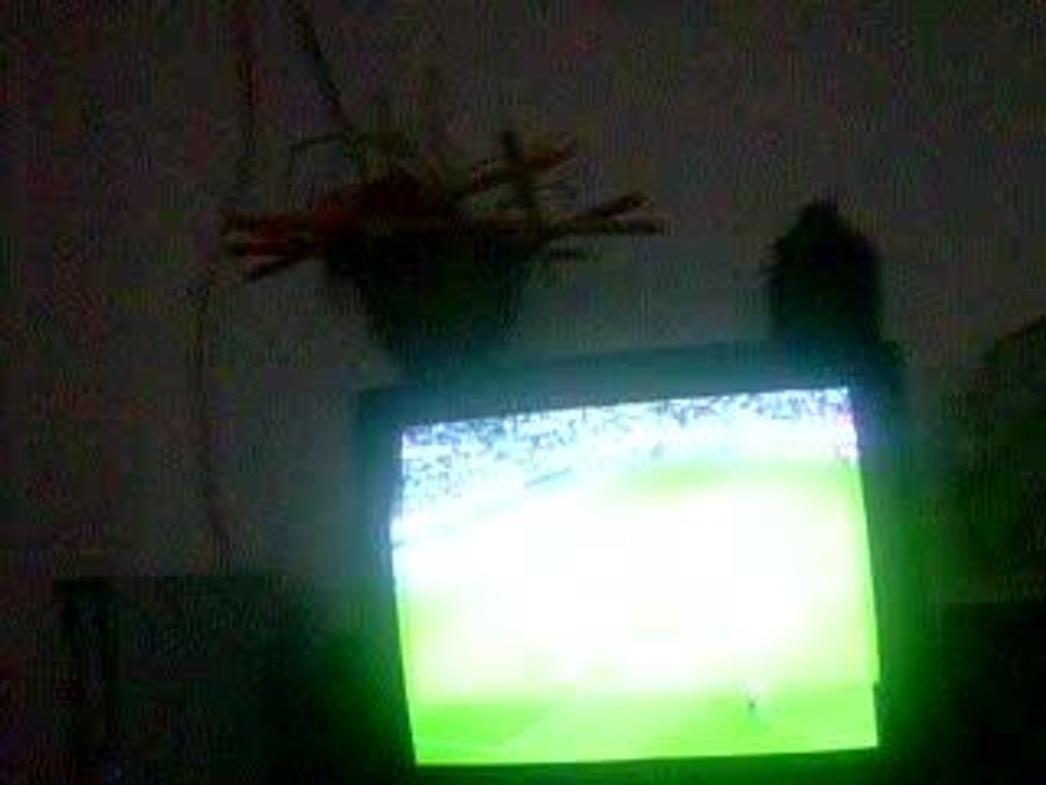 joie avan le péno de Portugal - France