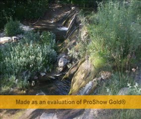 ben köyümü özledim