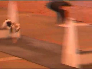 Flyball Les Dingos de Saulx 14-02-10 Lola