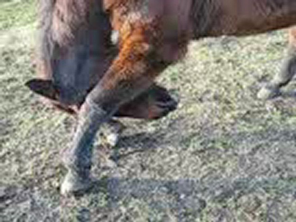 Oma Evienne in der Verbeugung