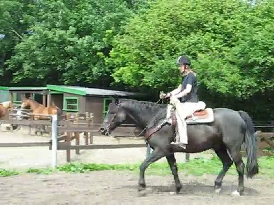 Lets Go und Steffi unterm Sattel