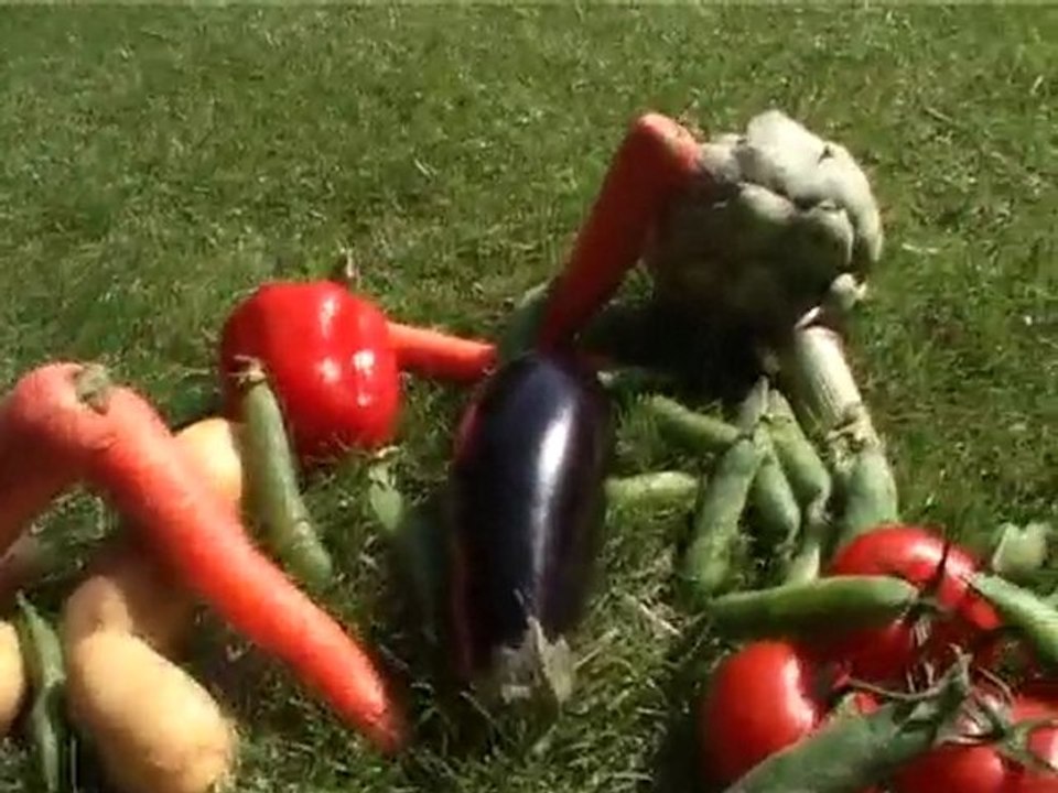 Le potager
