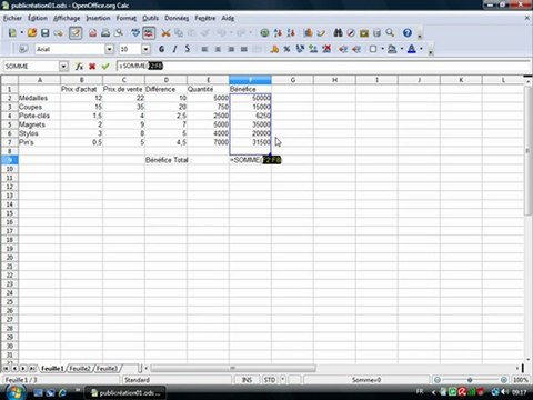 Tableur 1.7 Les sommes automatiques