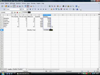 Tableur 1.7 "Les sommes automatiques"