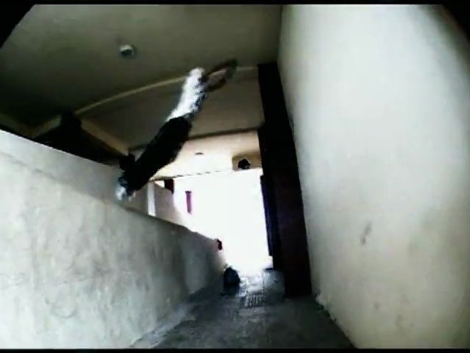 •••|Zk·|2mil10'|·Street Runners™ ▌parte 1▌♥