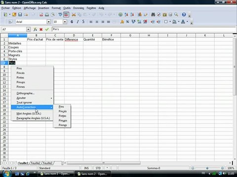 Tableur 1.4 Saisie de texte
