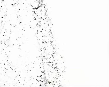 21 Avril 2009:28 Sept 2008 Imbrication