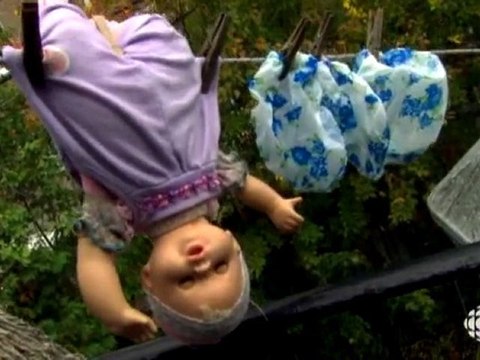 Découverte - Punaises de lits