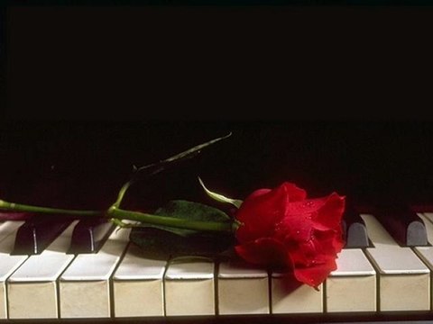 dj_hüseyin SÜPER KLİP gelinliğinle gel bir kuğu gibi