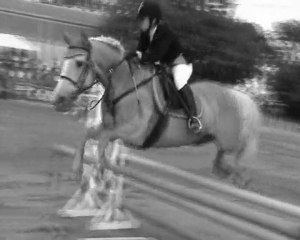 The End of Everything