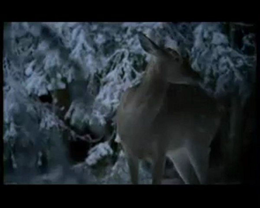 ya tebya pomnyu dima bilan