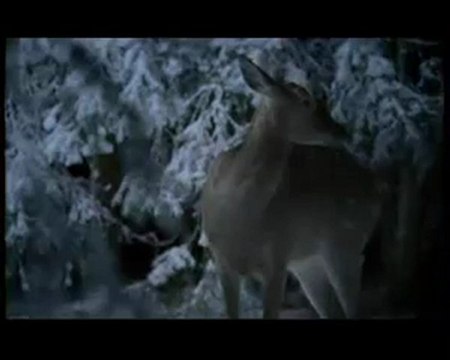 ya tebya pomnyu dima bilan