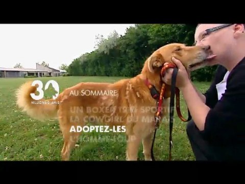 Sommaire émission 30 Millions d'Amis du 20 03 10