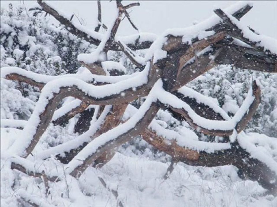 hossegor capbreton sous la neige mars 2010