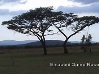 Dag 0/1 Brussel Johannesburg Entabeni 5-6/11/05