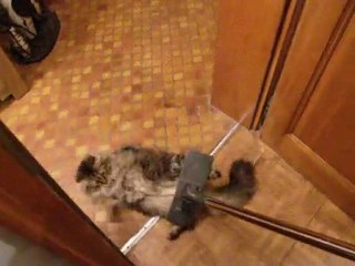 Boris &l'Aspirateur.