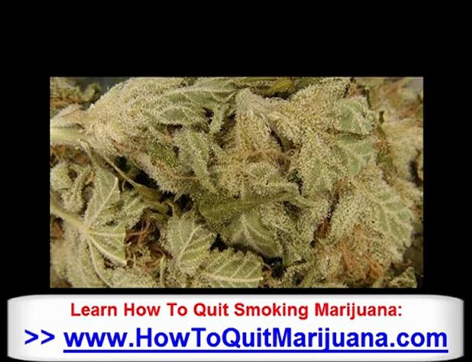 Know Statistics for Weed - How To Quit Smoking Pot - Save Yo