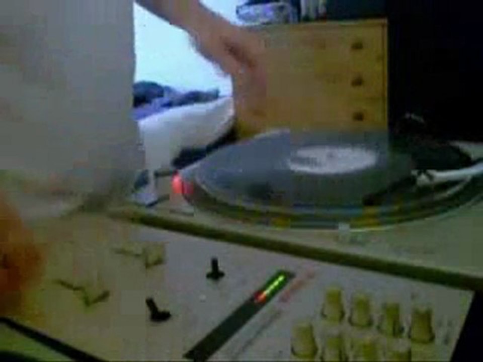 Sparky Organ Donor Scratching