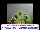 Medical Marijuana Addiction - How To Quit Smoking Weed &