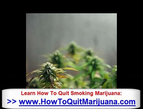 Medical Marijuana Addiction - How To Quit Smoking Weed &