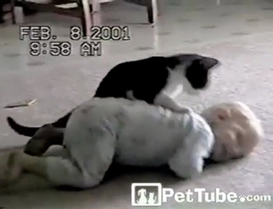 Cutest Wrestling Match Ever - PetTube.com