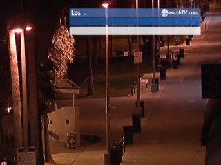 Pine Valley - Beijing - China, Paris - France, Honolulu - USA, London - United Kingdom, Palma de Mallorca - Spain, Los Angeles - USA, Cape Town - South Africa