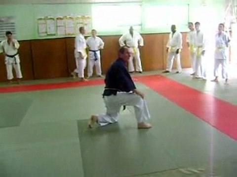 Révision de Nihon Tai-Jitsu: la chute avant pas à pas