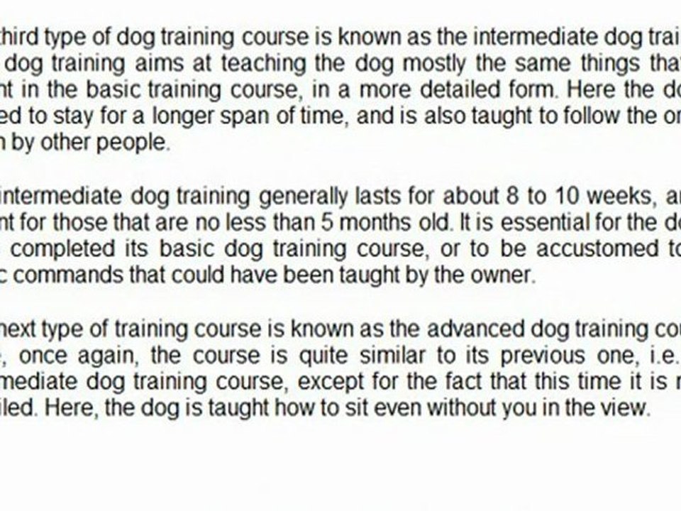 A GUIDE TO DOG TRAINING