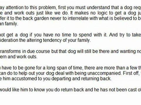 Does Your Shih Tzu Bark