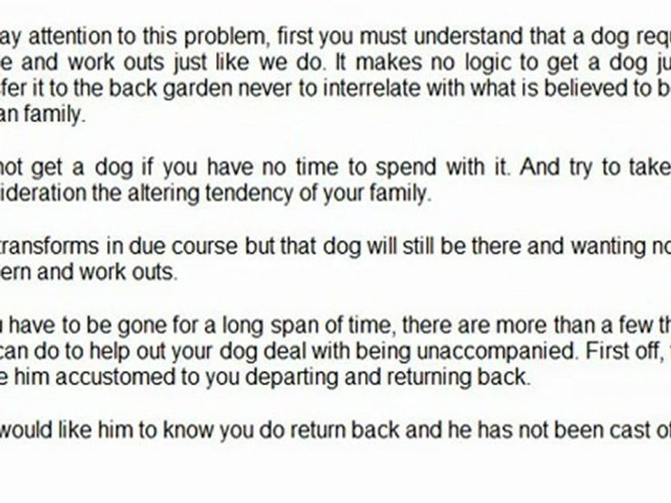 Does Your Shih Tzu Bark