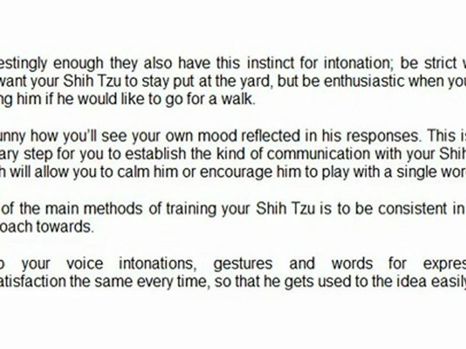 HANDY SHIH TZU TRAINING TIPS