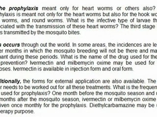 Health Care Of Your Pet Dog