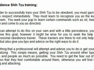 SHIH TZU TRAINING