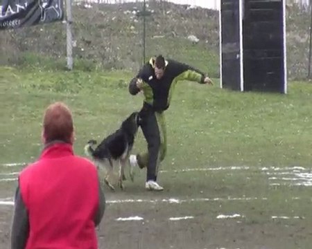 Calam, nos débuts en ring 3