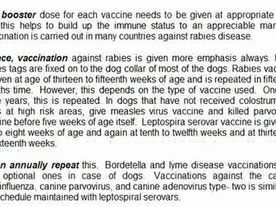 Health Care Tips For Your Beloved Pet Dog