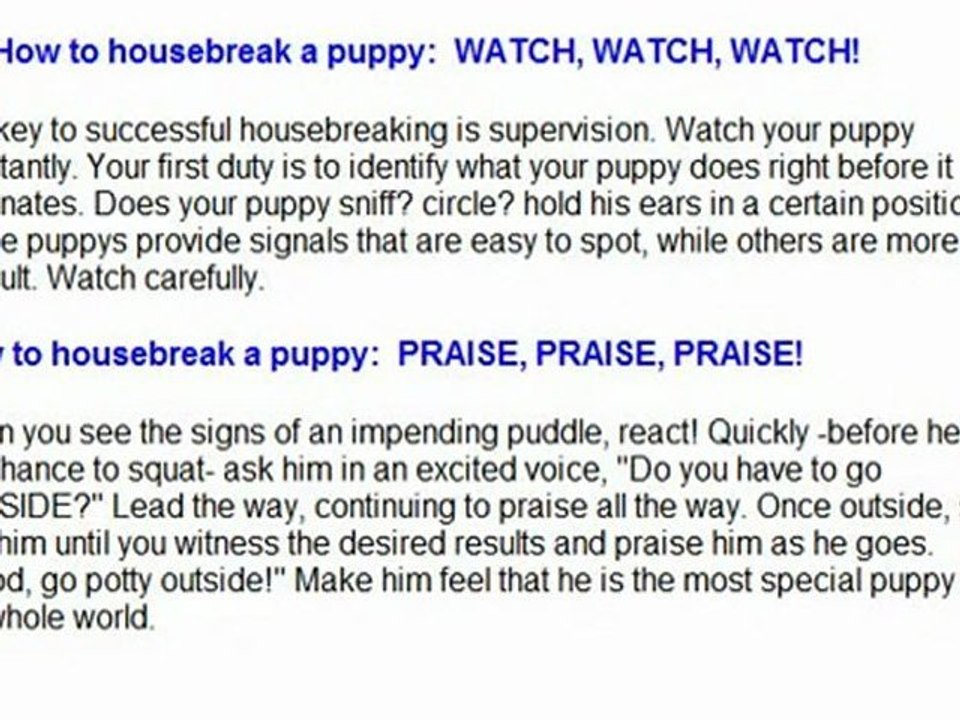Housebreak A Puppy