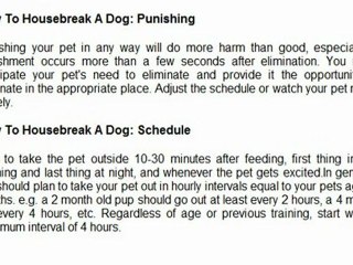 Housebreak an Older Dog