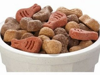 REWARD TRAINING-A GOOD WAY TO TRAIN SMALLER DOGS