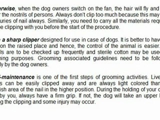 Steps In Grooming
