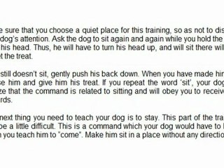 THE BASICS OF DOG TRAINING
