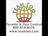 Team Too Termite - Pest Control - Termite Control Radio Ad