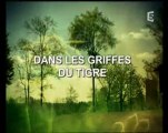 dans les griffes du tigre (1)