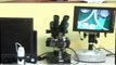 Biological Microscopes, Inverted Microscopes,