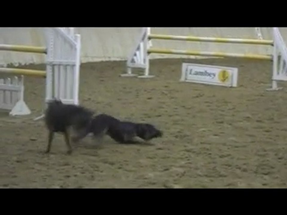 Une entrée de superball pour 2 Catcheuses