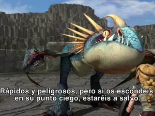 Entrenamiento de Dragones. Leccion #1: El Nader Mortifero