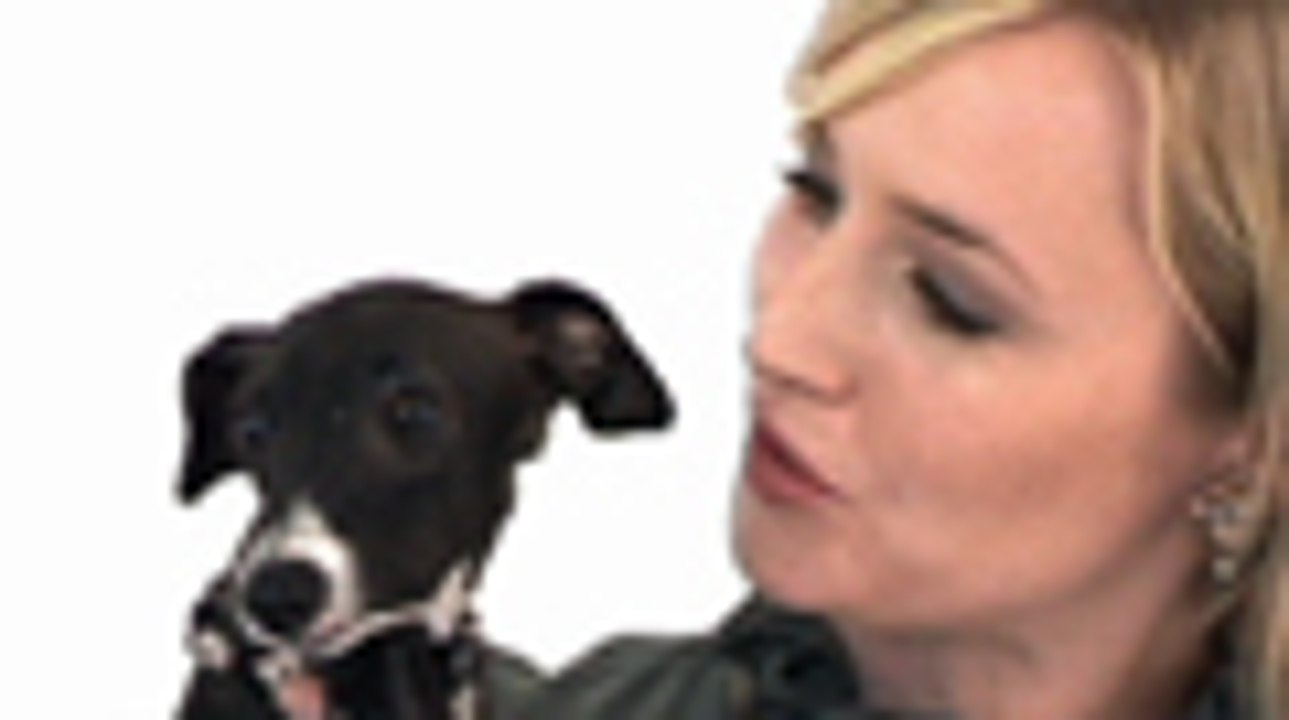 How to brush your dog's teeth