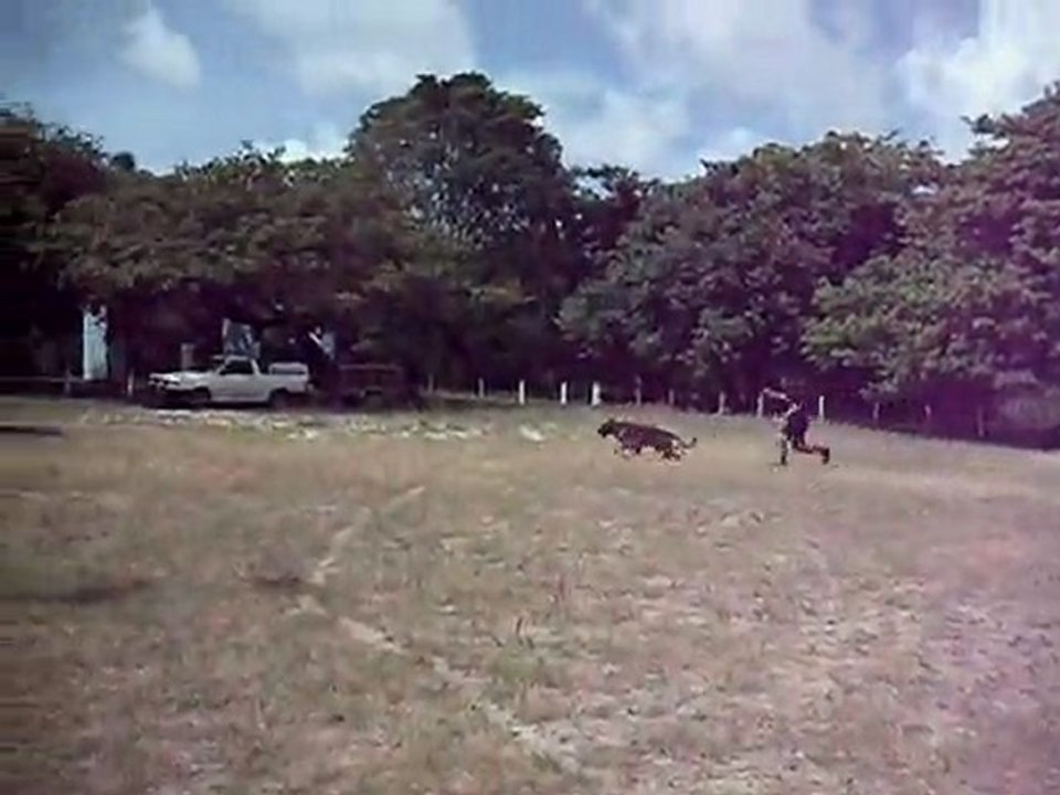 Uras, março 2010
