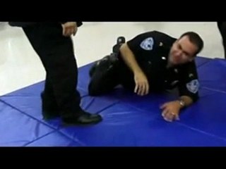 Steven Seagal : Au service de la loi (W9)